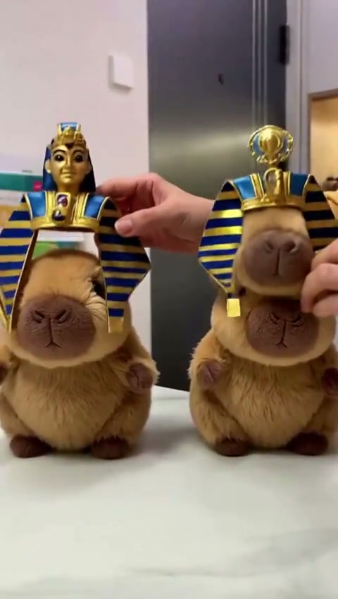 Pharaoh Capybaras